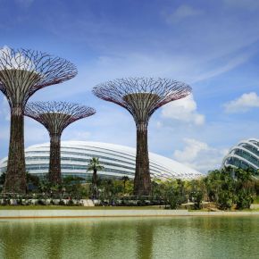 Sustainable Supertrees in the Garden
